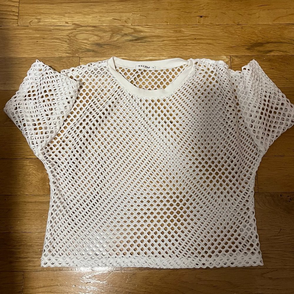 White Mesh Crop Top from Clozoz